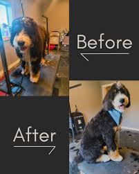 Image result for Max Extreme Boarding Association