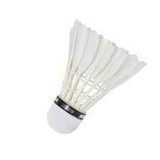 Image result for Manchester Feathers Badminton Club