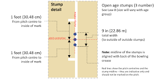 Image result for Pitch marking blog
