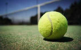 Image result for Fallowfield Bowling & Lawn Tennis Club