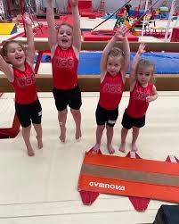 Image result for Waveney Gymnastics Club