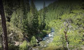 Image result for Redways Badminton Club