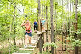 Image result for The Go Ape Experience (Swinley Forest)