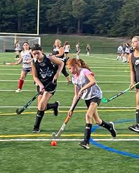 Image result for Indoor Hockey (Casual Use)