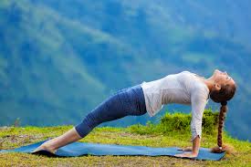 Image result for Hatha Yoga Club