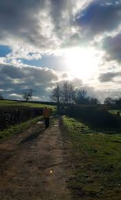 Image result for North Dorset