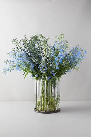 Image result for Delphinium