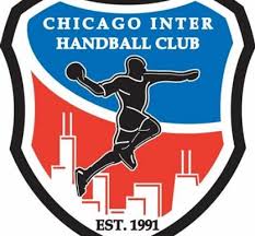 Image result for Deva Handball Club