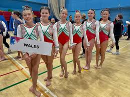 Image result for Jayenell Gymnastics Club