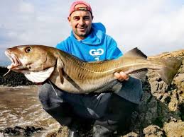 Image result for Bristol Channel Sea Fishing
