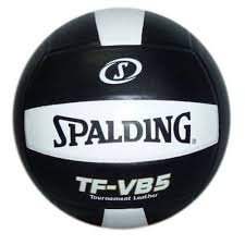Image result for Spalding Saracens Volleyball Club