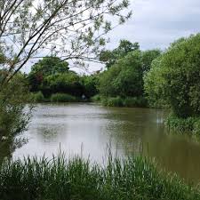 Image result for Wheatley Hill Angling Club