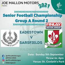 Image result for Sarsfield Gfc