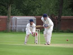Image result for Plumtree Cricket Club