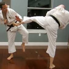 Image result for Abbey Shorinji Kempo Dojo