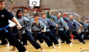 Image result for Shaolin Nam Pai Chuan Kung Fu - Manchester Martial Arts Centre