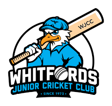 Image result for Winford Cricket Club