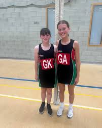 Image result for Plymouth Civil Service Netball Club