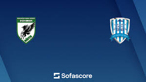 Image result for Deva Handball Club