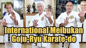 Image result for Ryusui-ryu Martial Arts School East Grinstead