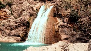 Attēlu rezultāti vaicājumam “Leporida”