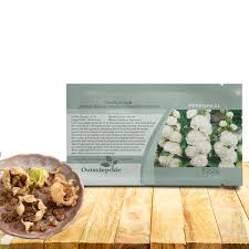 Attēlu rezultāti vaicājumam “Malva moschata alba fruit”