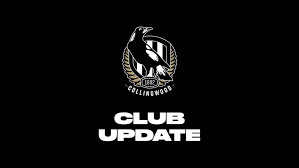 Image result for Ledbury Magpies Netball Club