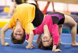 Image result for Elite Recreational Gymnastics Club