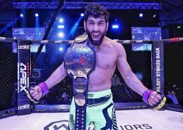 Image result for Wolverine MMA