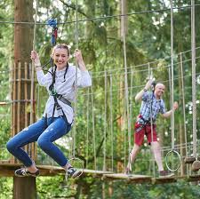 Image result for Go Ape! Leeds Castle