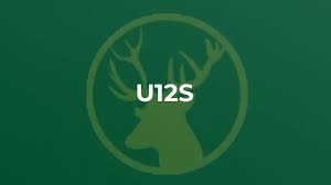 Image result for Long Ditton Cc