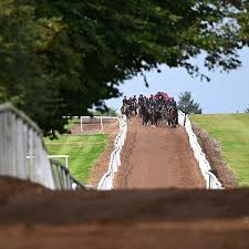 Image result for Blackpool & Fylde Horse Club