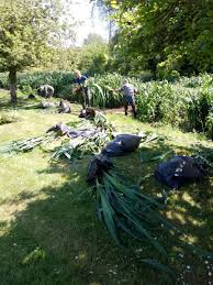 Image result for Chesham 1879