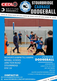 Image result for Bewdley Virtue Dodgeball Club