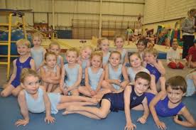 Image result for Spelthorne School Of Gymnastics