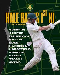 Image result for Redlynch and Hale Cricket Club