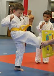 Image result for Vision Martial Arts
