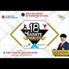 Image result for Independent Wadoryu Karate Federation