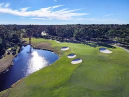 Image result for St James casuals cricket club