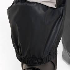 Image result for Rayleigh Sac