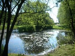 Image result for East Dean & Friston Badminton Club