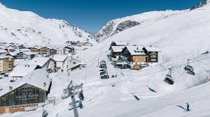 Image result for Enzian