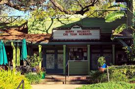 Image result for Enzian