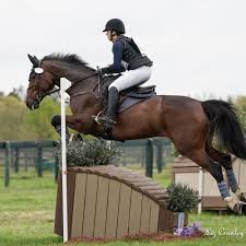 Image result for Fisher Equestrian