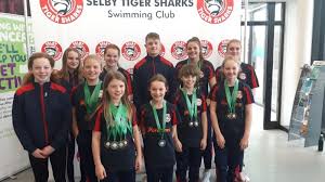 Image result for Selby Tiger Sharks Swimming Club