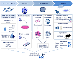 Image result for busch 8791