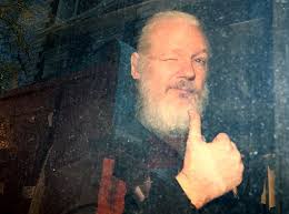 Image result for julian assange