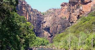 Billedresultat for kakadu n...