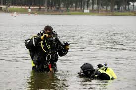 Image result for Duchy Divers