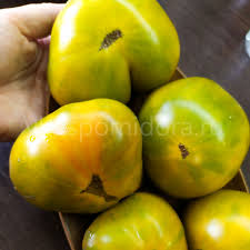 Afbeeldingsresultaat voor grubbs mystery green tomato